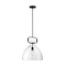 Nuvo Fixure, Pendant, 1-Light, Incandescent, 100W, 120V, A19, Medium Base, Height: 16.50 60/7152 - alternate 2